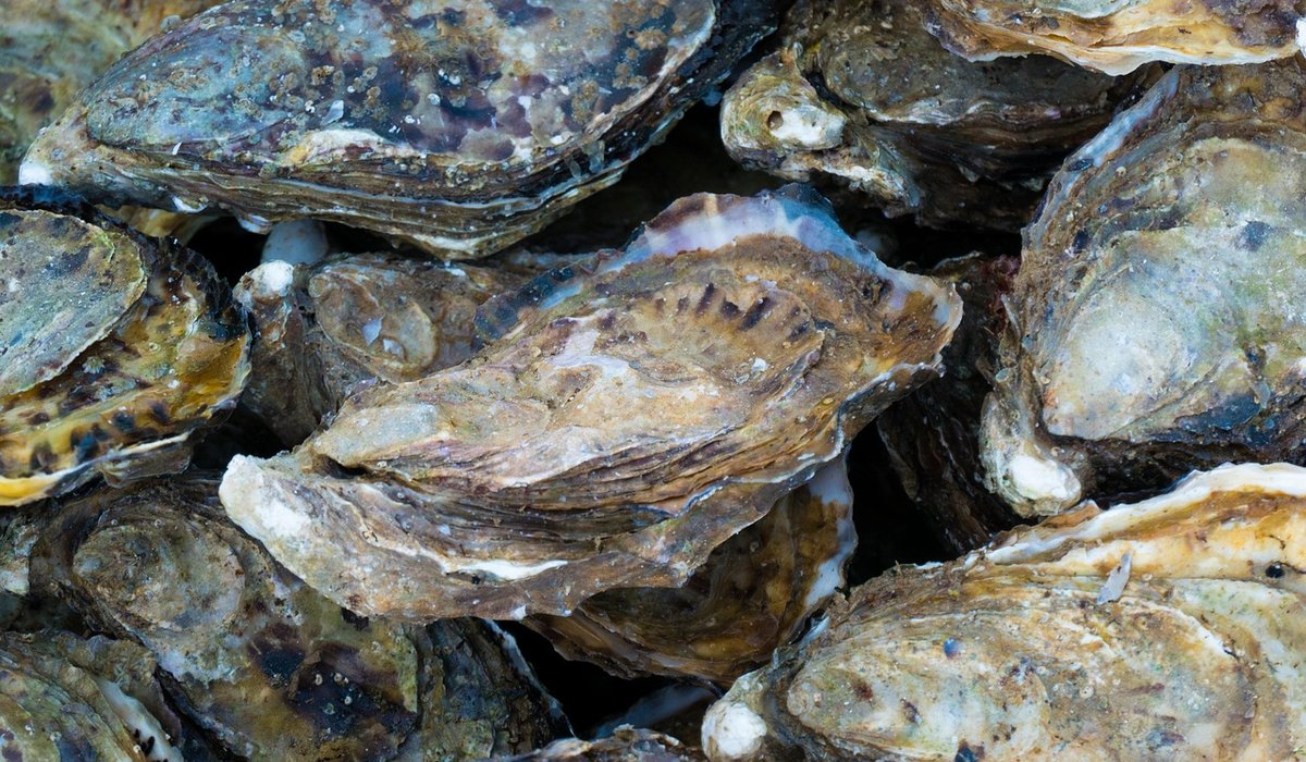 A Weekend Guide to British Seaside Fishing Villages