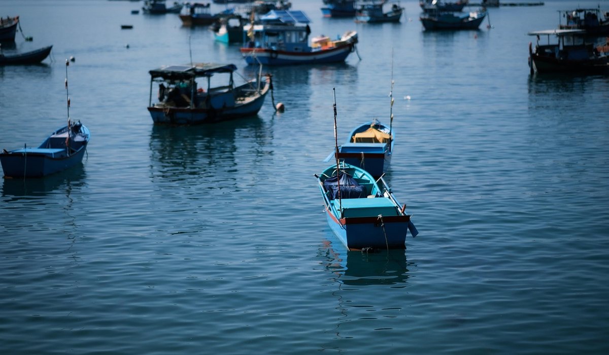 Avoiding Cross-Contamination When Preparing Fresh Seafood