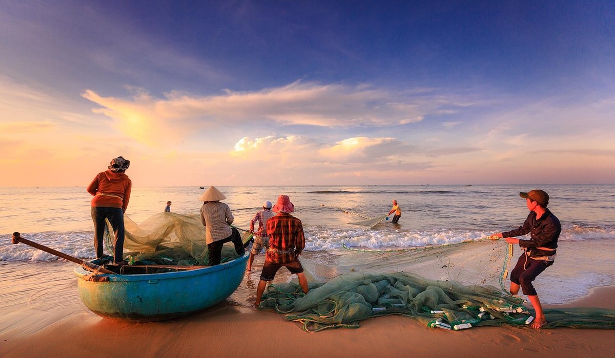 Traditional Oyster Dredging Methods on British Coasts